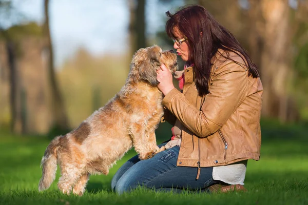 Jovem mulher beija um cão bonito — Fotografia de Stock