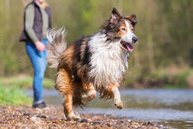 köpeğini nehirde olan kadın