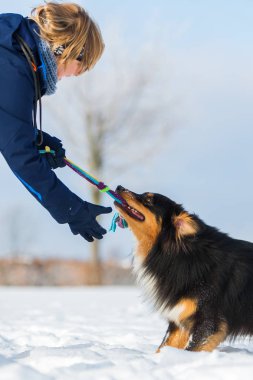 Karda bir köpekle kadın çalış
