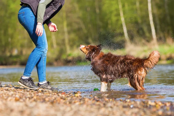 Jovem mulher com seu cão no rio — Fotografia de Stock