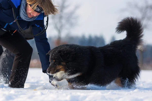 Kvinna leker med en hund i snön — Stockfoto