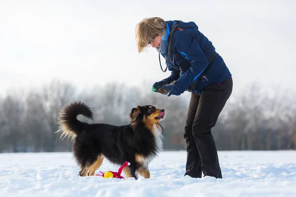 Mujer juega con un perro en la nieve — Foto de Stock