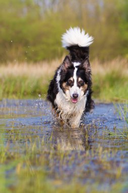 Suda yürüme kenar kömür ocağı