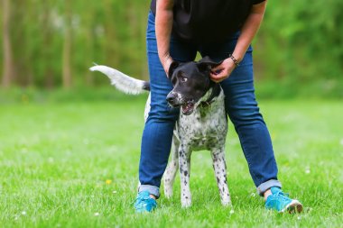 kadın köpeğini açık havada çalış