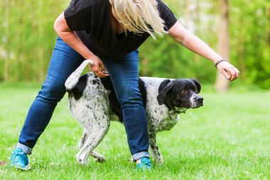 kadın köpeğini açık havada çalış
