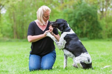 kadın köpeğini açık havada çalış