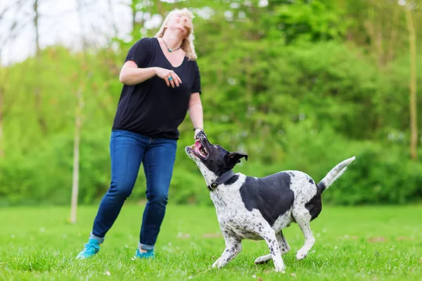Mujer juega con su perro al aire libre — Foto de Stock