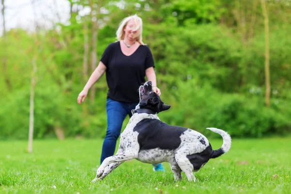 Mulher brinca com seu cão ao ar livre — Fotografia de Stock