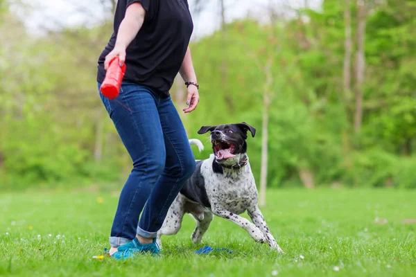 Frau spielt mit Hund im Freien — Stockfoto