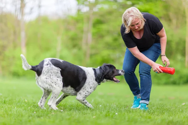 stock image woman plays with her dog outdoors