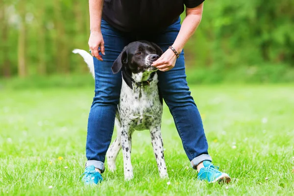 Kvinna leker med sin hund utomhus — Stockfoto