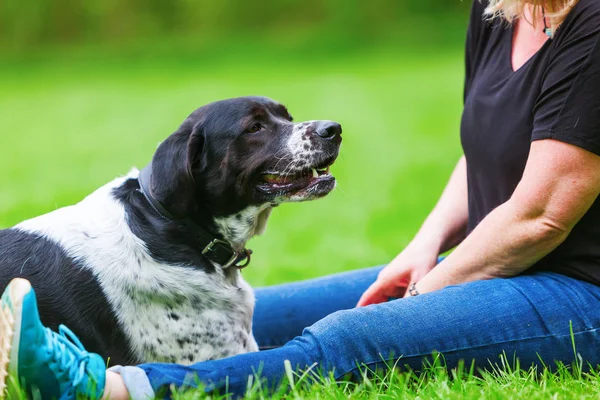 Mulher sentada com seu cão no prado — Fotografia de Stock