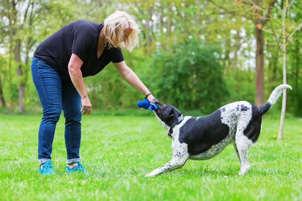 Mujer juega con su perro al aire libre — Foto de Stock