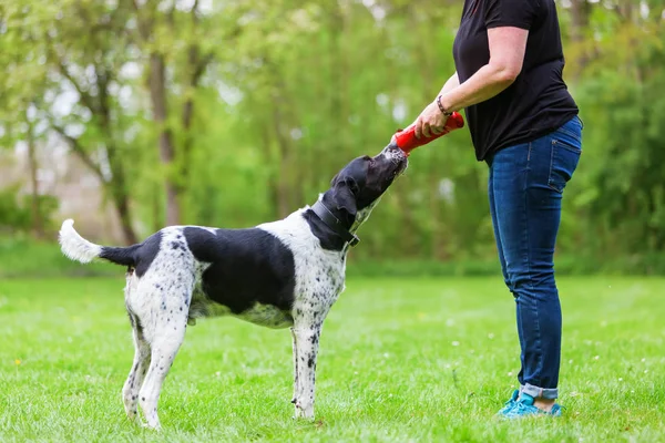 Frau spielt mit Hund im Freien — Stockfoto