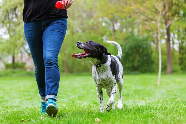 kadın köpeğini açık havada çalış