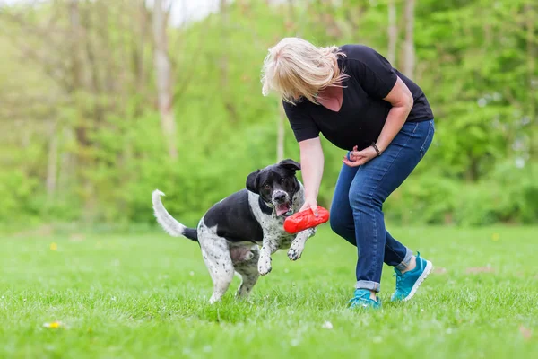 Woman plays with her dog outdoors Royalty Free Stock Images