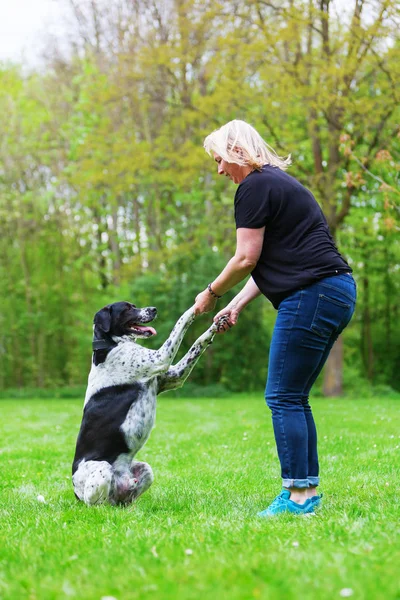 Woman plays with her dog outdoors Royalty Free Stock Photos