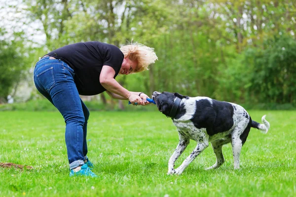 Woman plays with her dog outdoors Stock Photo