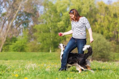 çayır üzerinde iki köpek ile kadın çalış