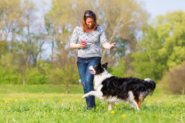 kadın köpek bir Border Collie ile dans yapma