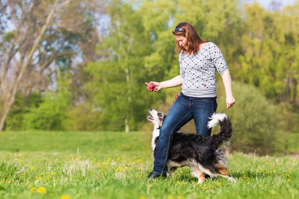 Mulher brinca com dois cães no prado — Fotografia de Stock