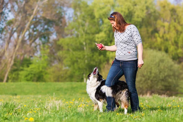 Mulher fazendo cão dançando com uma fronteira Collie — Fotografia de Stock