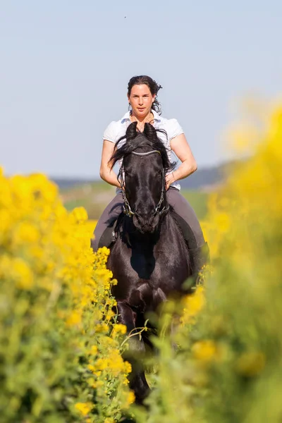 Mulher montando um cavalo Friesiano — Fotografia de Stock