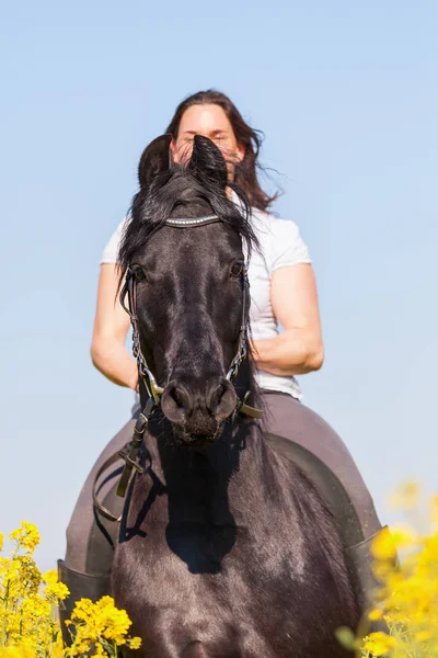 Mulher montando um cavalo Friesiano — Fotografia de Stock