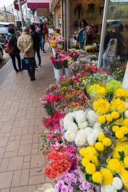 Kowloon, Hong Kong çiçek pazarı