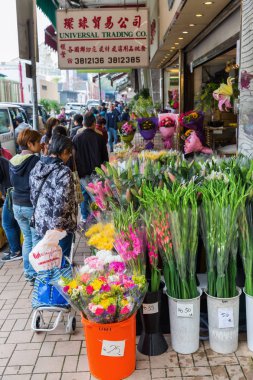 Kowloon, Hong Kong çiçek pazarı