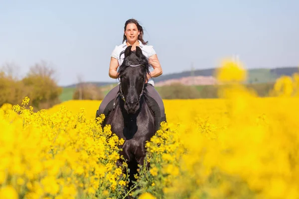 Woman riding a Friesian horse — Stock Photo, Image