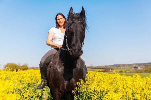 Woman riding a Friesian horse — Stock Photo, Image