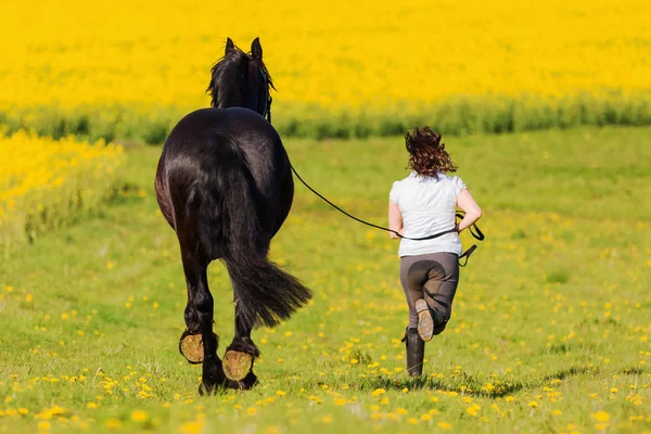 Woman with a Friesian horse on a field — Stock Photo, Image