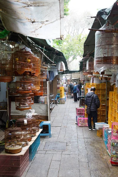 Mercado de aves em Kowloon, Hong Kong — Fotografia de Stock