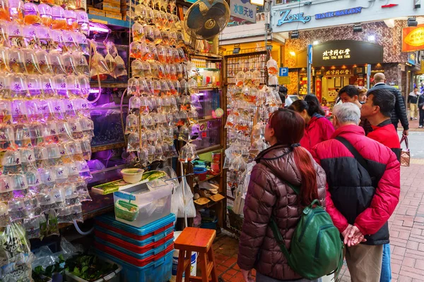 Guldfiskmarknaden i Kowloon, Hongkong — Stockfoto