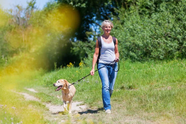 Mature woman hiking with a dog — Stock Photo, Image