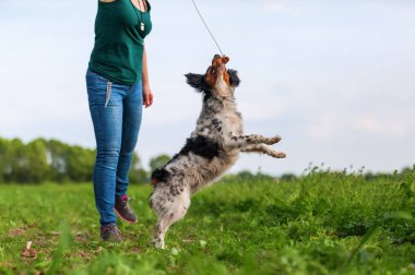 kadın köpeğini bir flört aracı ile çalış