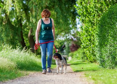 Olgun kadın ile Brittany köpek vasıl belgili tanımlık kira kontratı