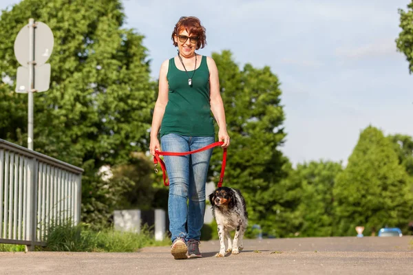 Mature woman with Brittany dog at the leash — Stock Photo, Image