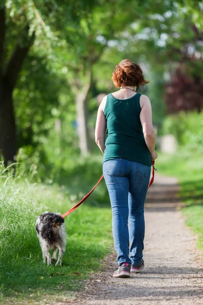Wanita dewasa dengan Brittany anjing di tali — Stok Foto