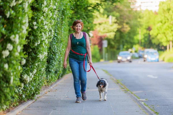 Mature woman with Brittany dog on a sidewalk — Stock Photo, Image