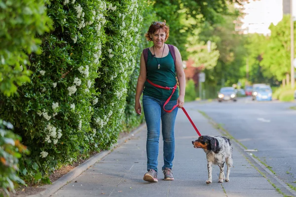 Mature woman with Brittany dog on a sidewalk — Stock Photo, Image