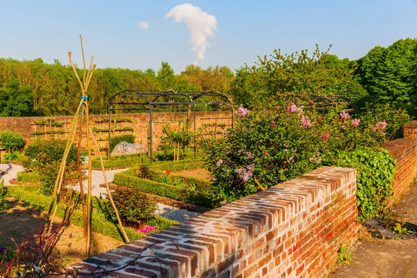 Idyllische tuin in Bedburg-Kaster, Duitsland — Stockfoto