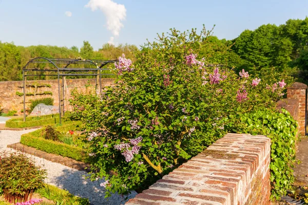 Idyllische tuin in Bedburg-Kaster, Duitsland — Stockfoto
