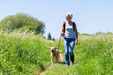 Olgun kadın ile köpek peyzaj hiking