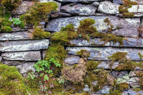 Sfondo texture di un muro di pietra a secco — Foto Stock