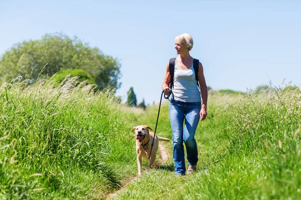 Mulher madura caminhadas com cão na paisagem — Fotografia de Stock