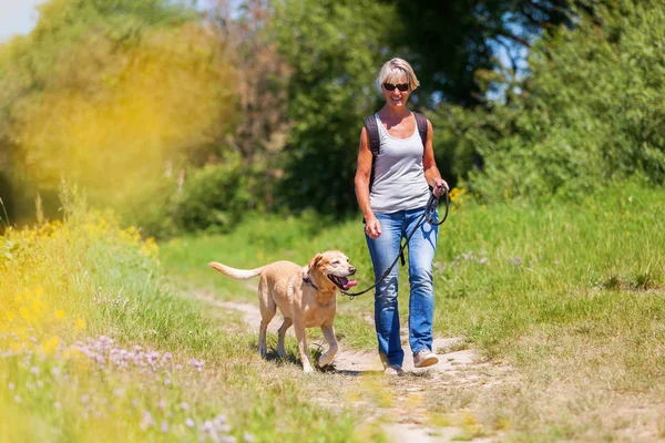 Mujer madura senderismo con perro en el paisaje —  Fotos de Stock