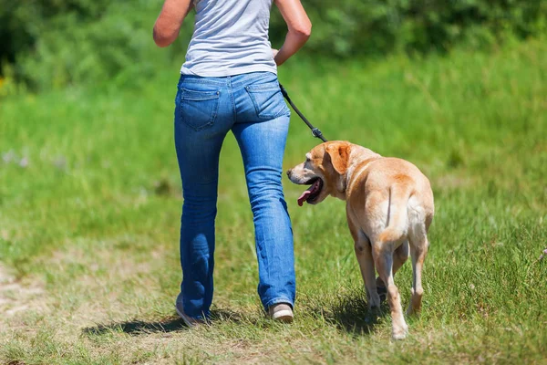 Mature woman hiking with dog in the landscape — Stock Photo, Image