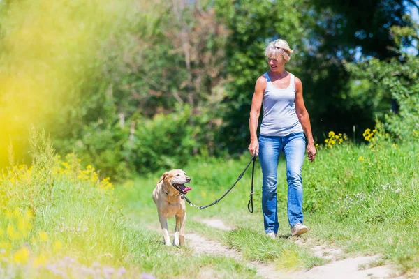 Mature femme randonnée avec chien dans le paysage — Photo